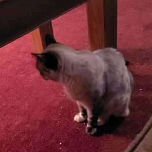 Meet your Posher, Eloise